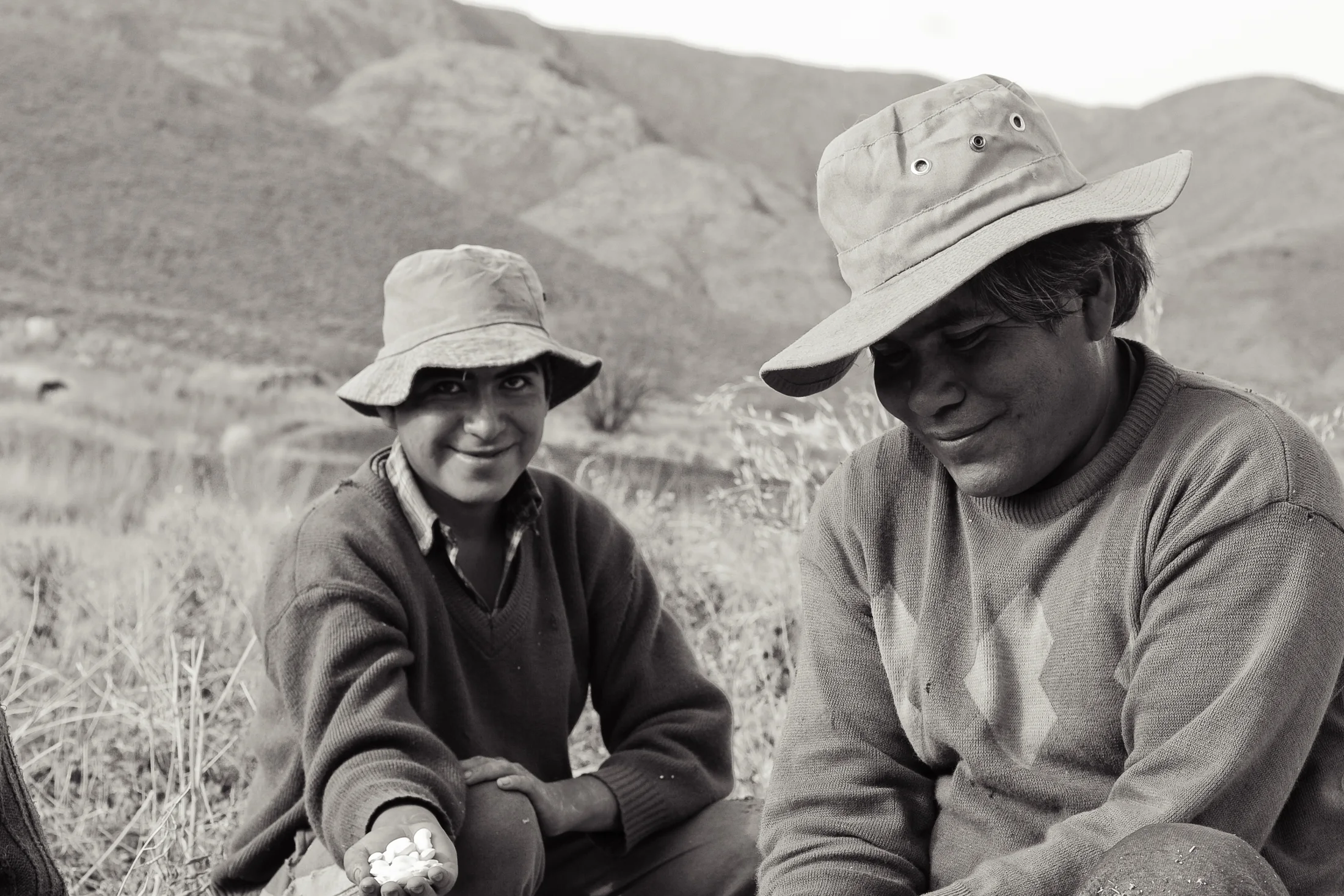 Two people working with plants in a field near Cachi