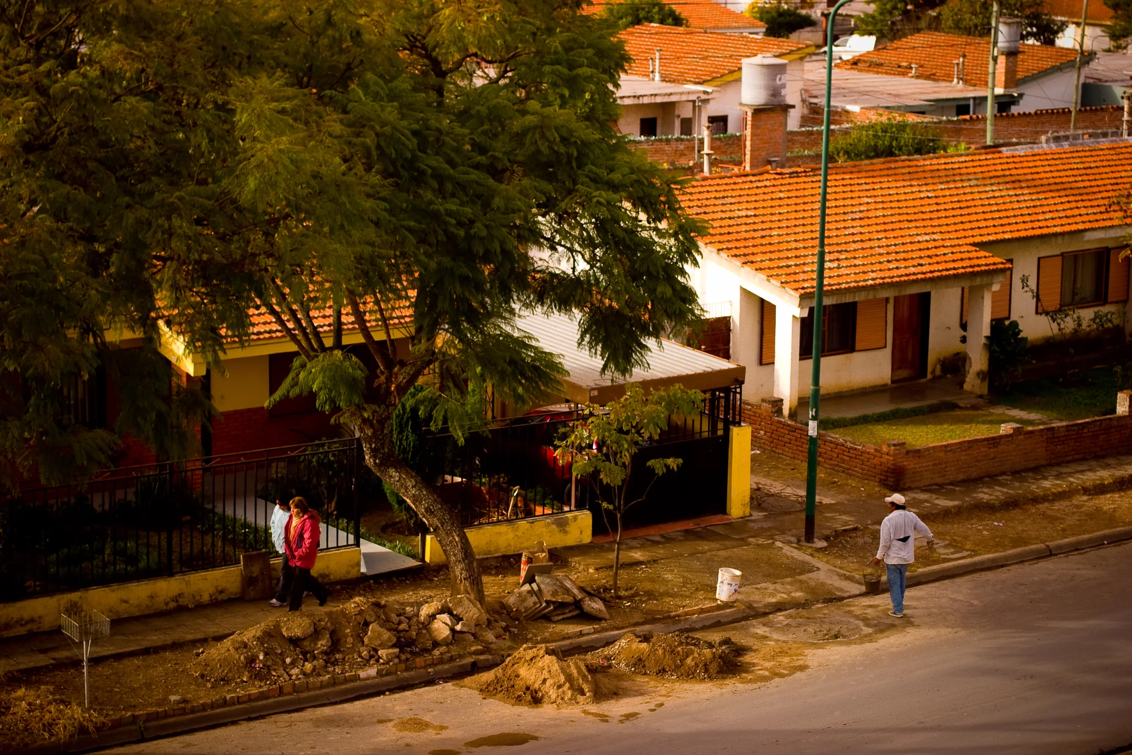 A warm evening view over the rooftops and trees of Salta